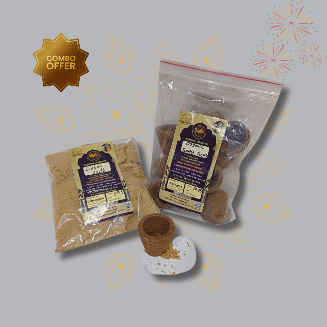 Cow dung diya with Oudh Loban